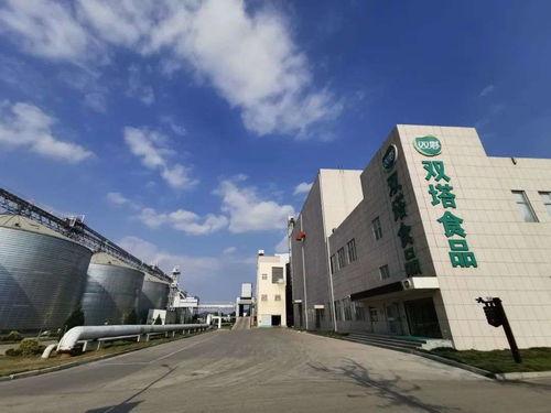 從廢水提取原料當(dāng) 金子 賣(mài),這家粉絲企業(yè)緣何能變身為人造肉第一股